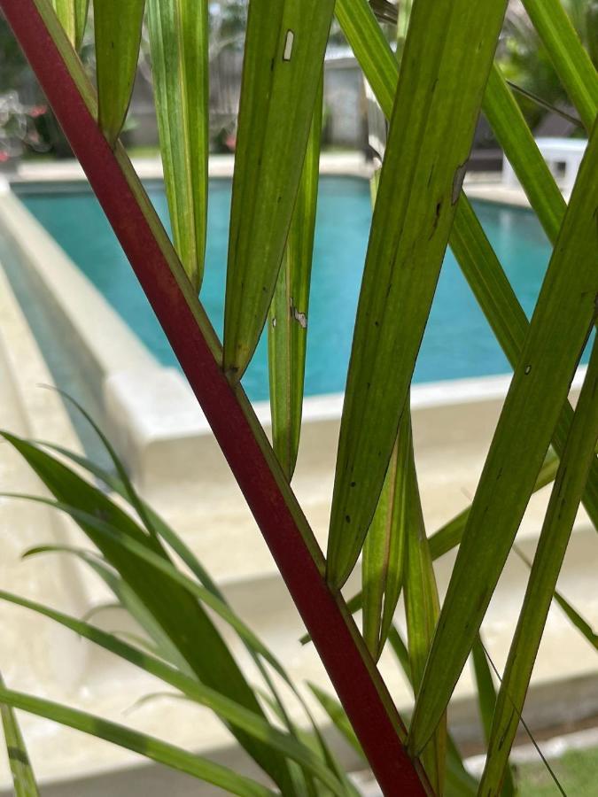 Hola Lofts Villa Uluwatu Kültér fotó